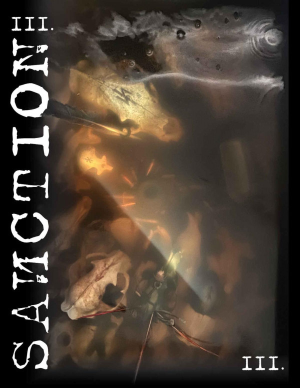 Sanction Iii Sanction The Book Book 3 Mcclay Roman Mcclay