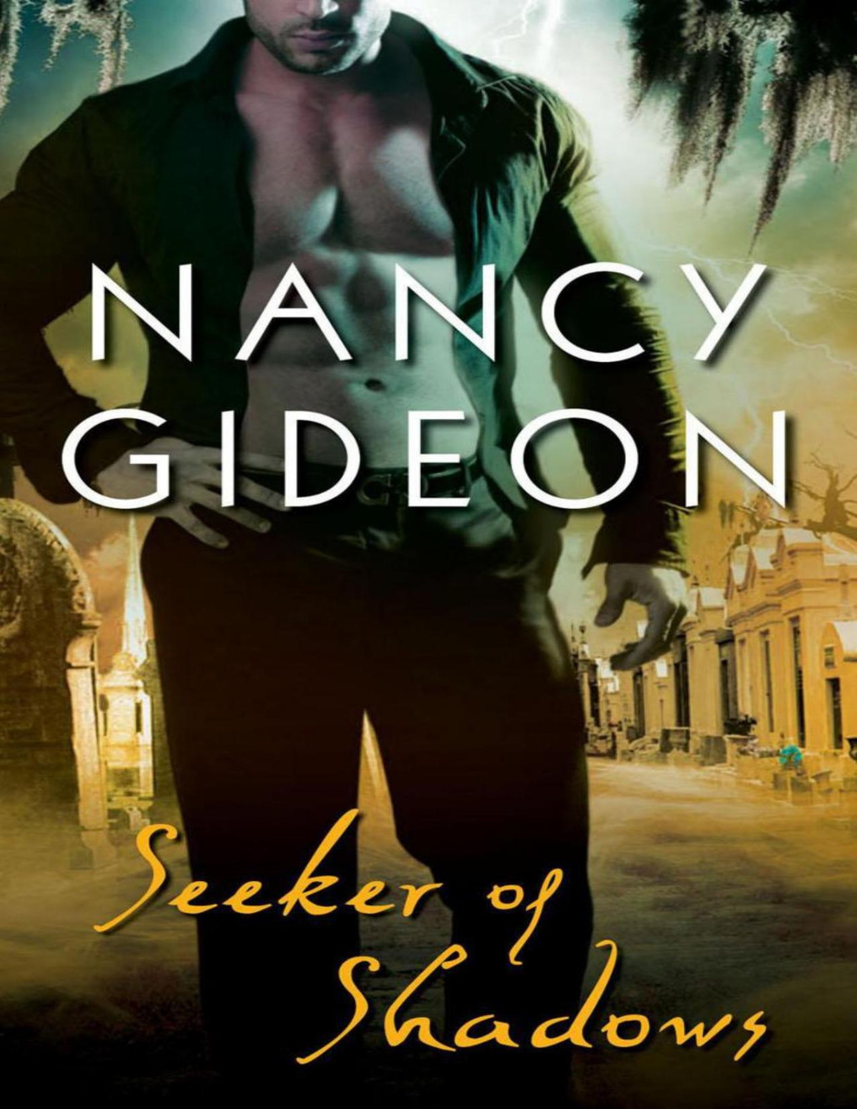 Seeker Of Shadows Nancy Gideon