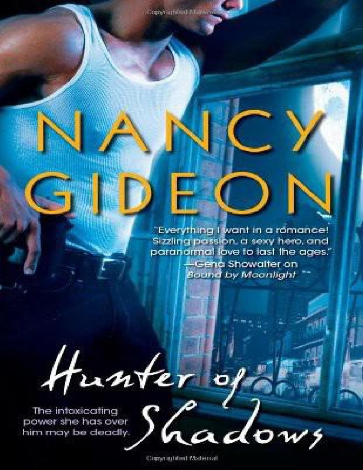 Hunter Of Shadows Nancy Gideon