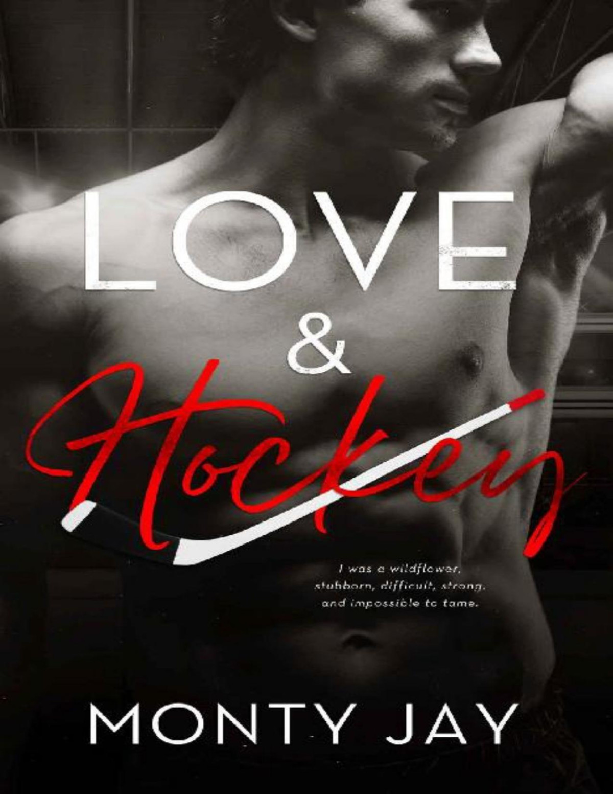 Love Hockey Fury Series Book 1 Monty Jay