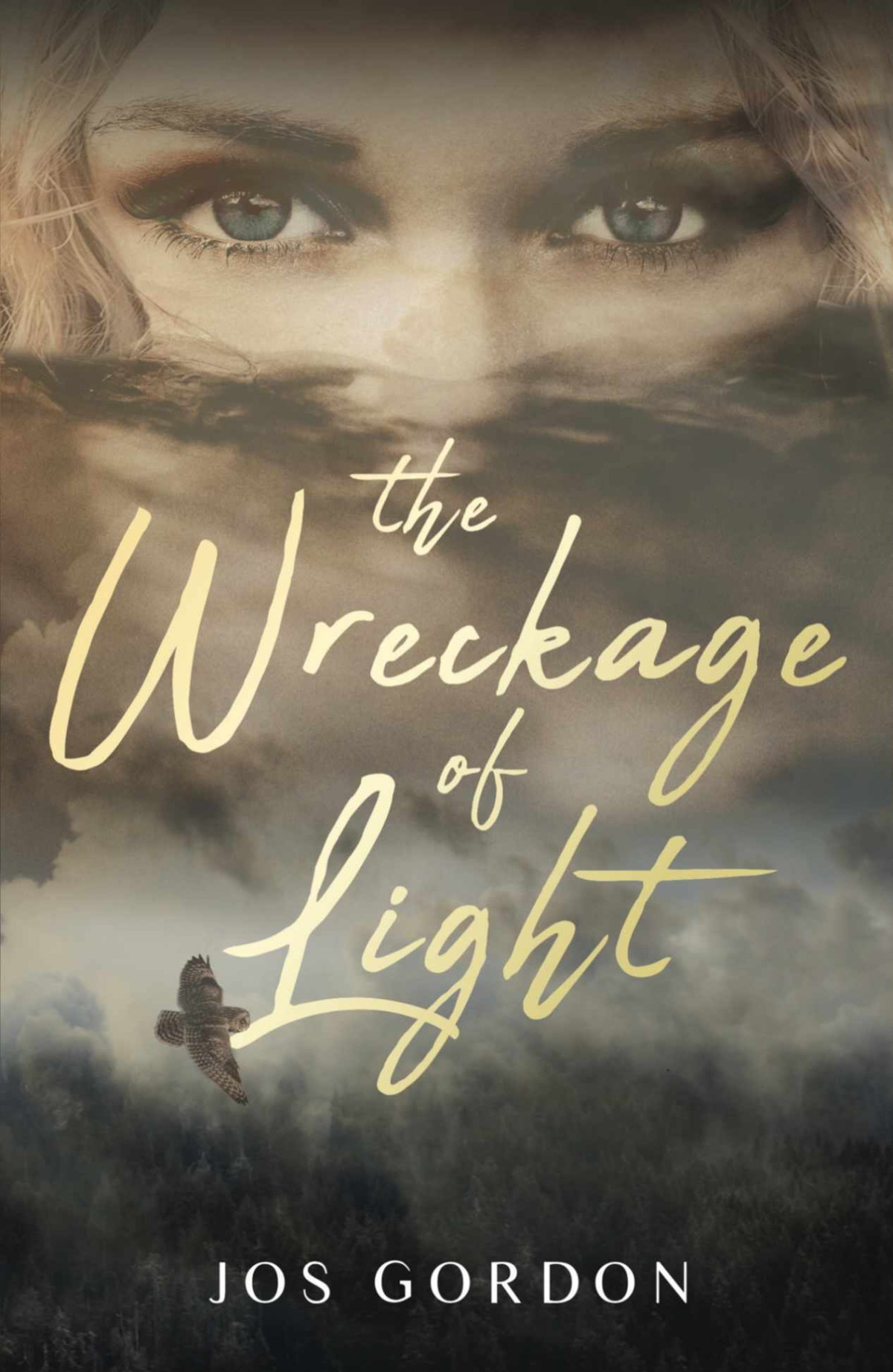 The Wreckage Of Light A Gothic Romance Novel Jos Gordon
