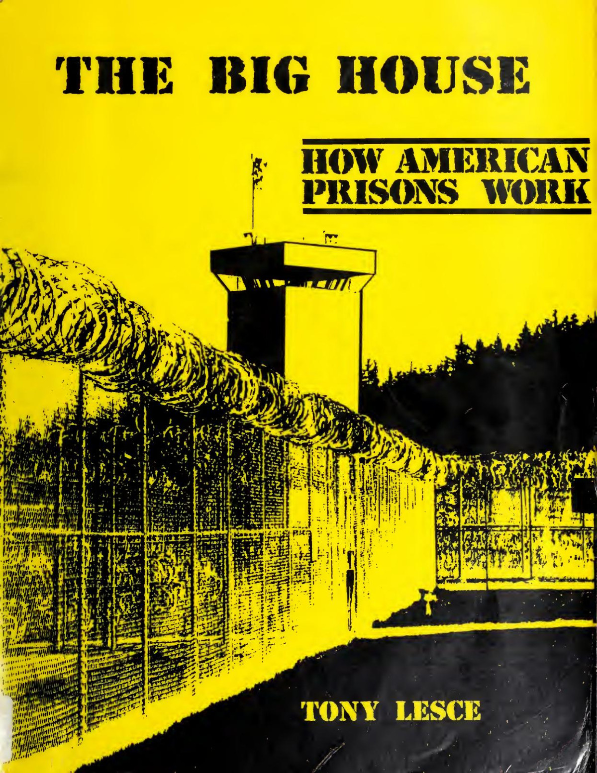 The Big House How American Prisons Work Tony Lesce
