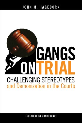 Gangs On Trial Challenging Stereotypes And Demonization In The Courts John M Hagedorn