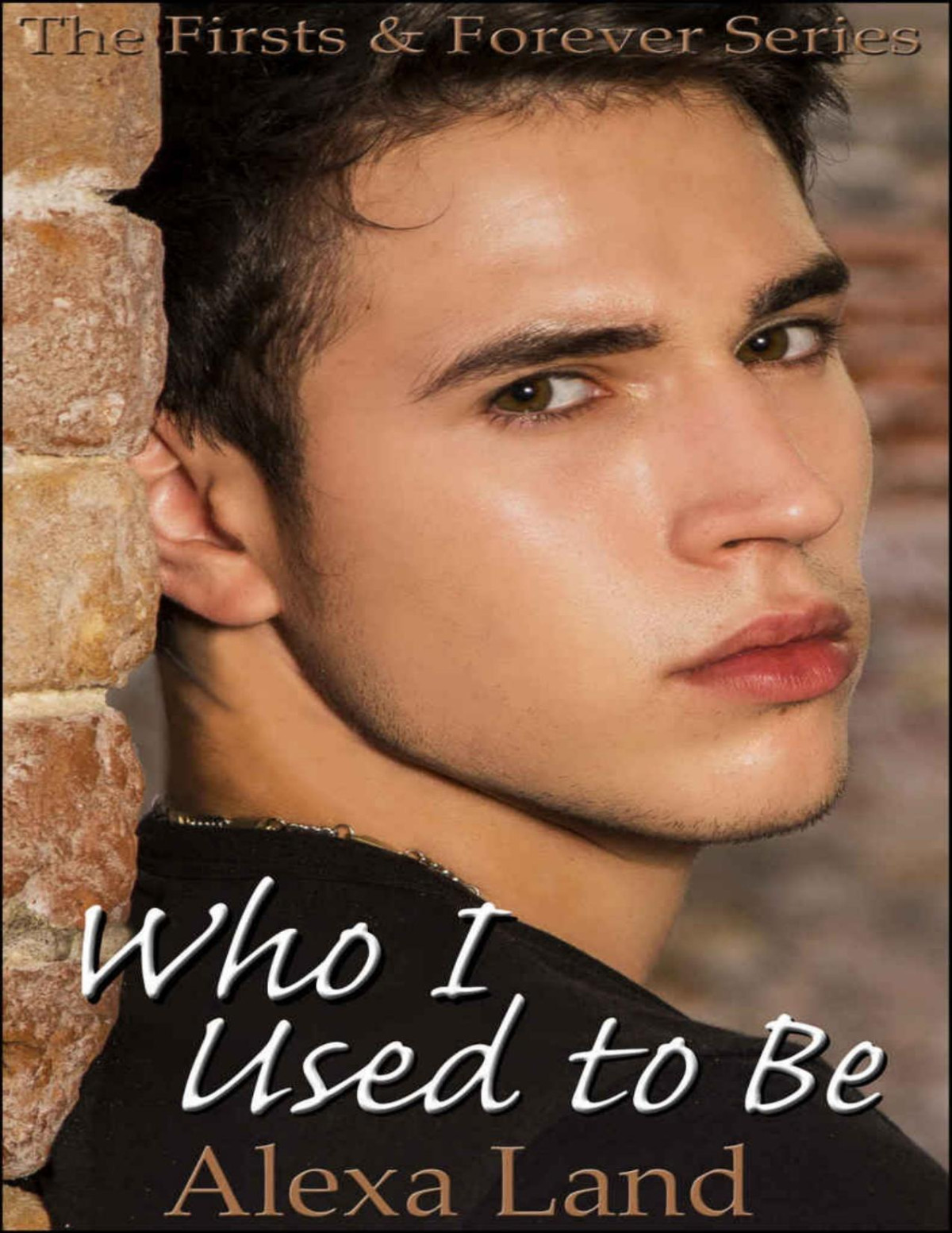Who I Used To Be The Firsts And Forever Series Book 12 Alexa Land