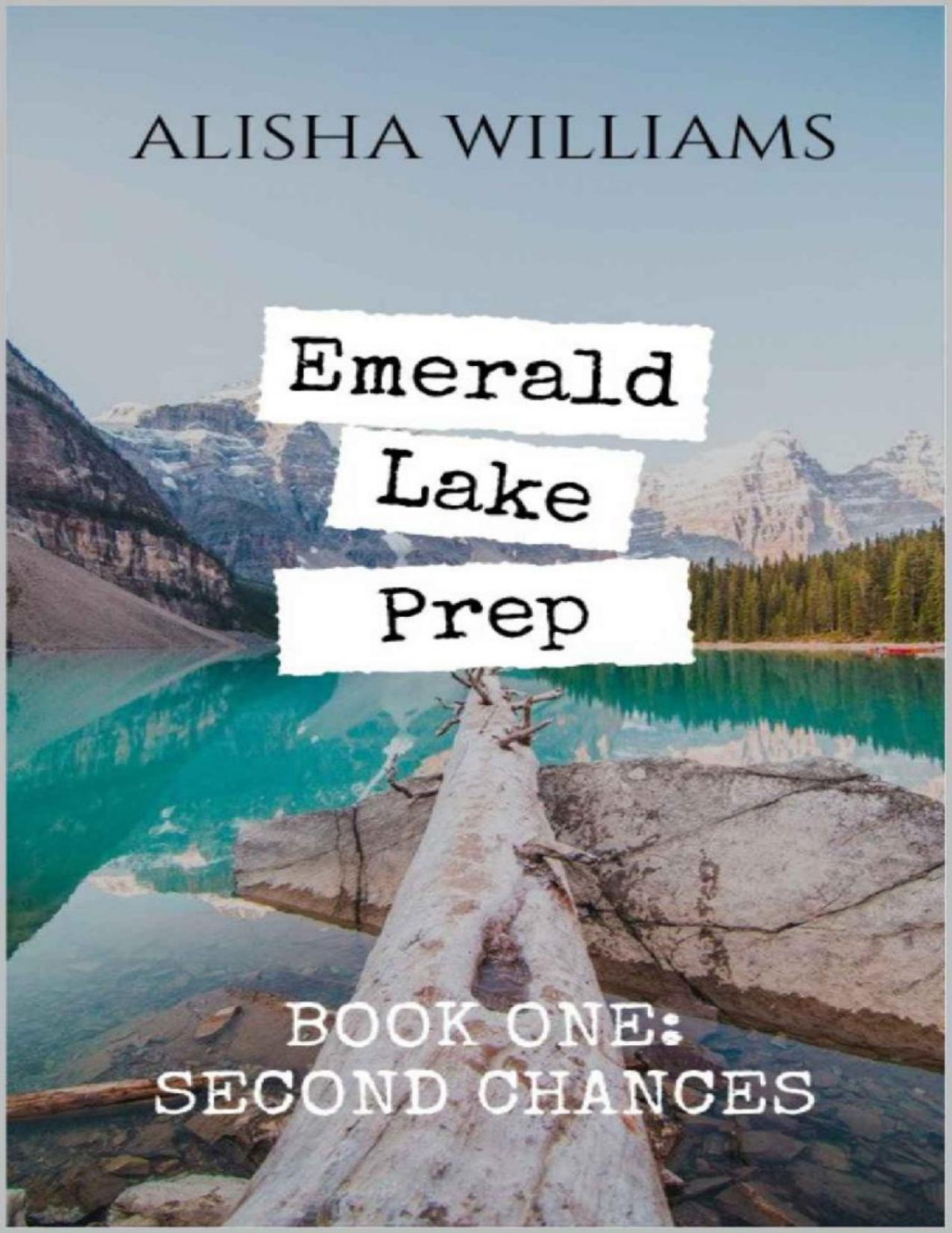 Second Chances 1st Edition Alisha Williams