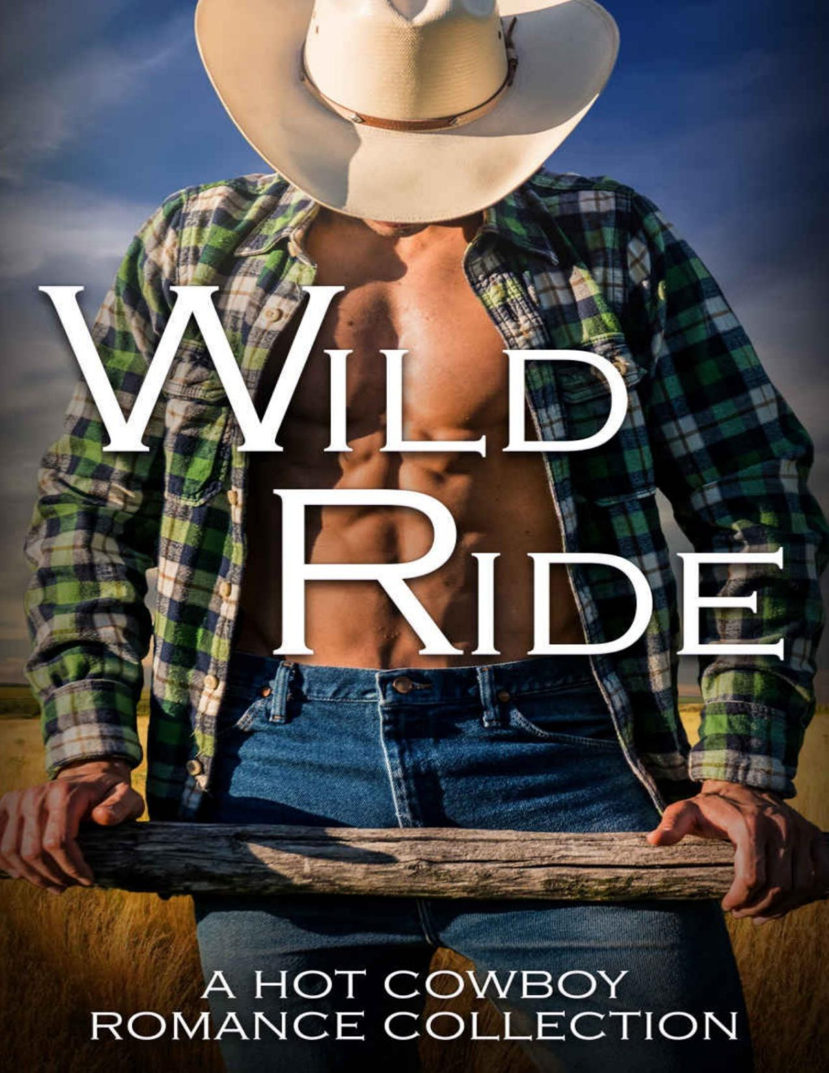 Wild Ride A Hot Cowboy Romance Collection Limited Edition Romance Collections Limited Editions Book 3 Stephanie Morris Donna Michaels Megyn Ward Rhonda Lee Carver Dove Daniels Peggy Mckenzie Brittney Bell Sylvia Mcdaniel Zee Irwin Beth Williamson Jen Talty Vic Leigh Euryia Larsen
