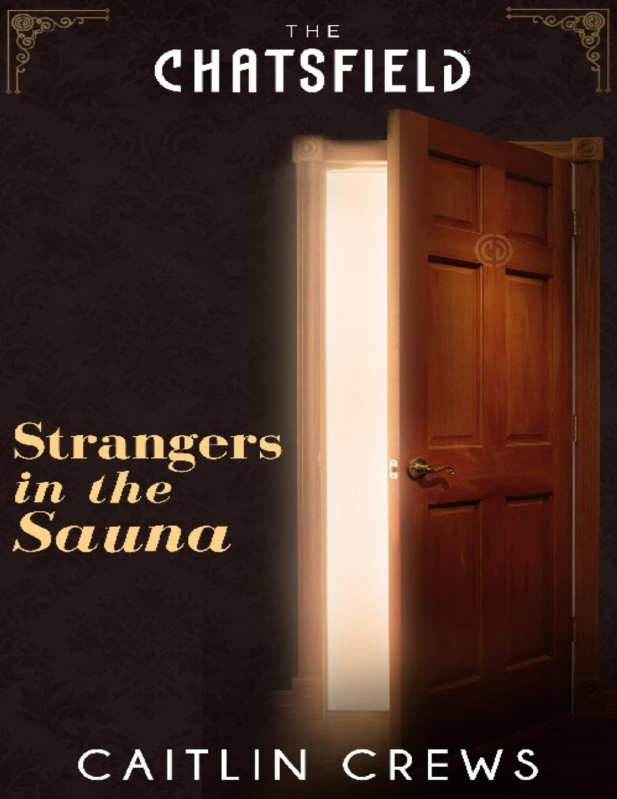 Strangers In The Sauna Caitlin Crews