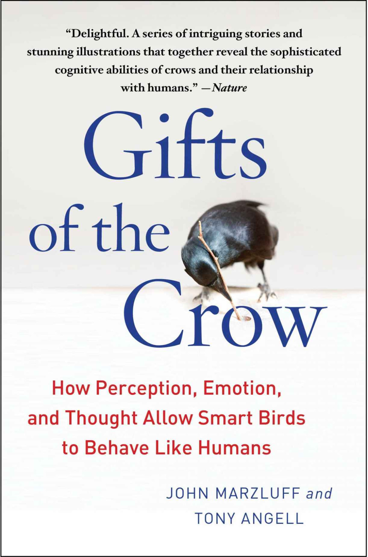 Gifts Of The Crow How Perception Emotion And Thought Allow Smart Birds To Behave Like Humans John Marzluff Tony Angell