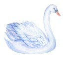 The Swan And The Sergeant Alana Albertson