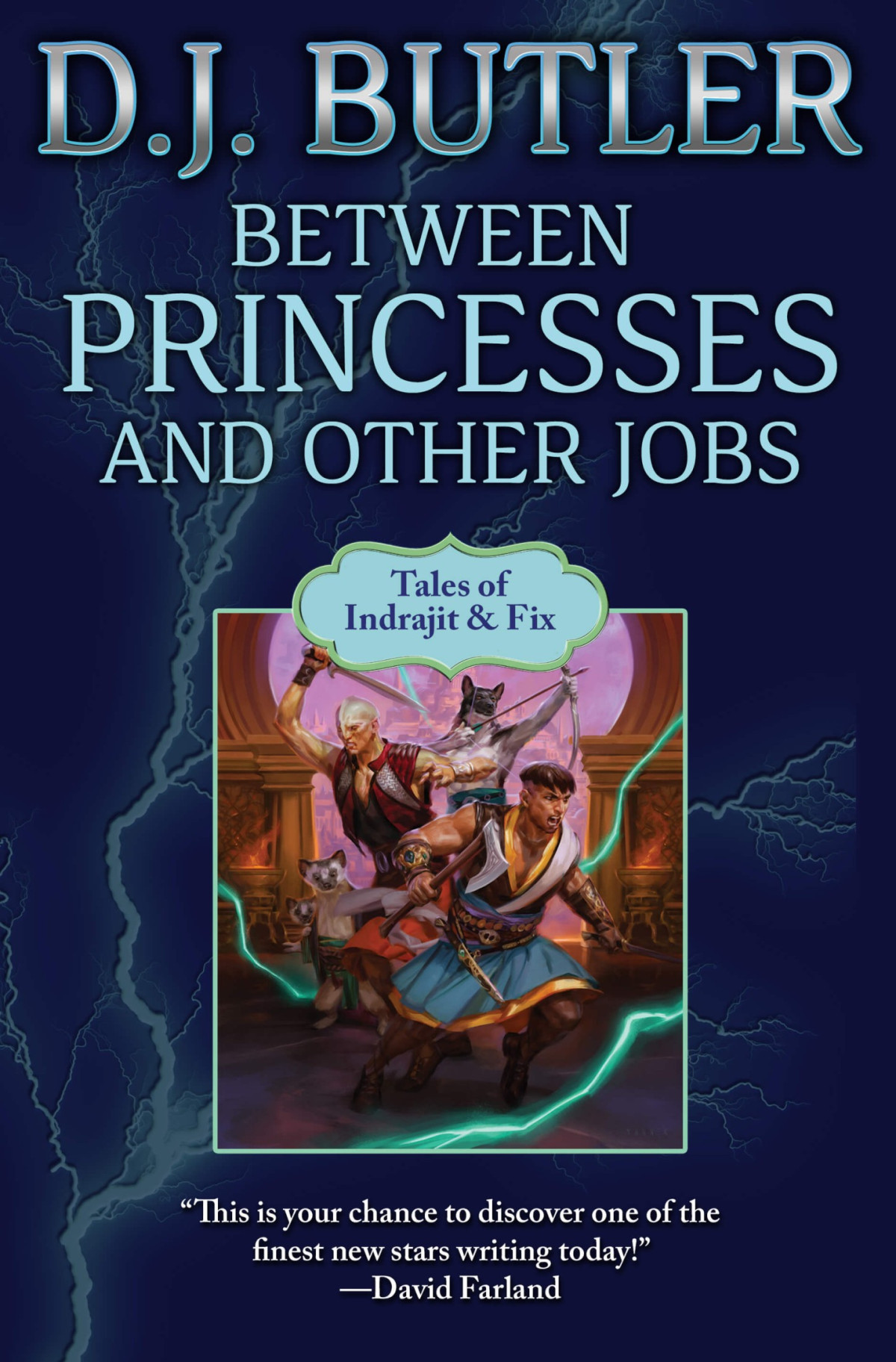Between Princesses And Other Jobs D J Butler
