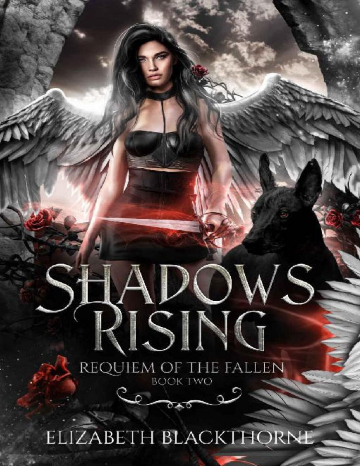 Shadows Rising Requiem Of The Fallen Book 2 Elizabeth Blackthorne