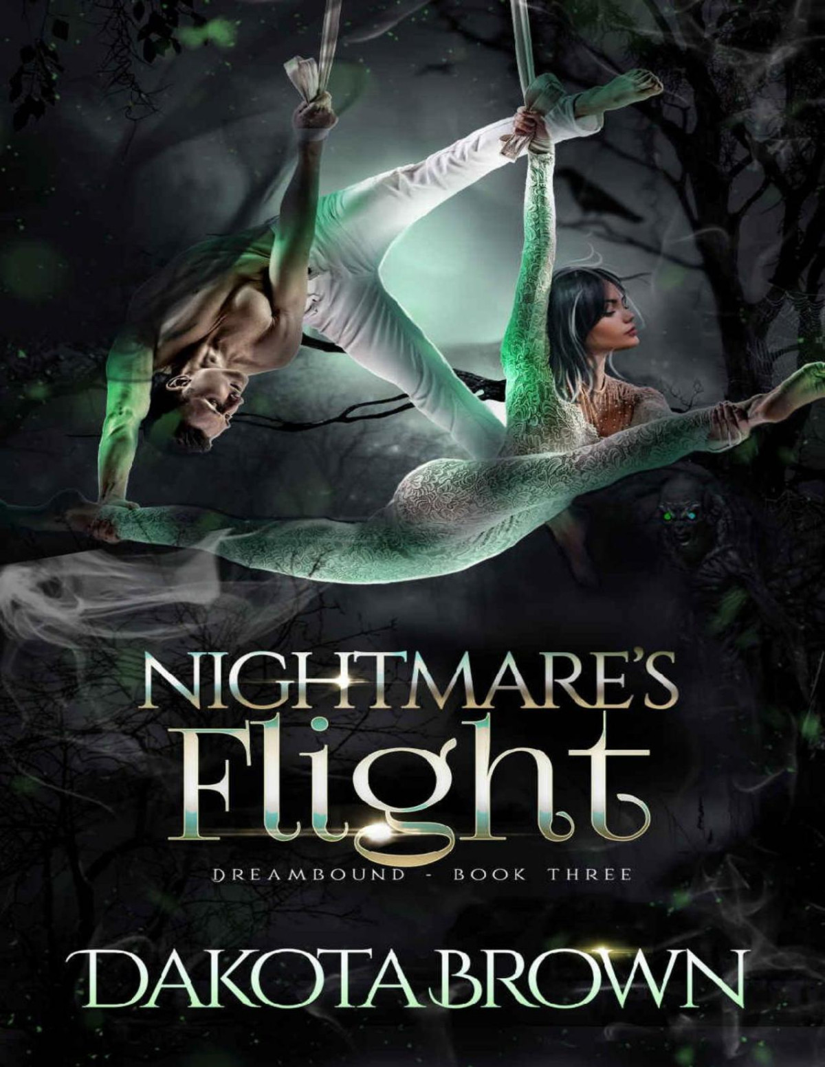 Nightmares Flight A Reverse Harem Tale Dreambound Book 3 Dakota Brown