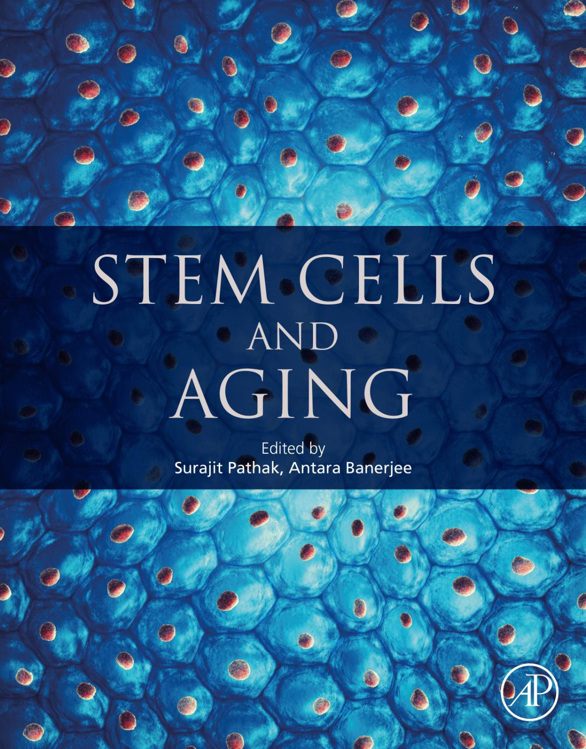 Stem Cells And Aging Surajit Pathak Antara Banerjee