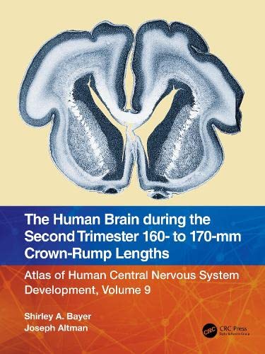 The Human Brain During The Second Trimester 160 To 170mm Crownrump Lengths 1st Edition Shirley A Bayer