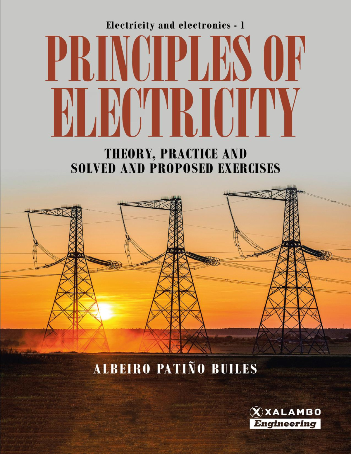Principles Of Electricity Theory Practice And Solved And Proposed Exercises Albeiro Patio Builes