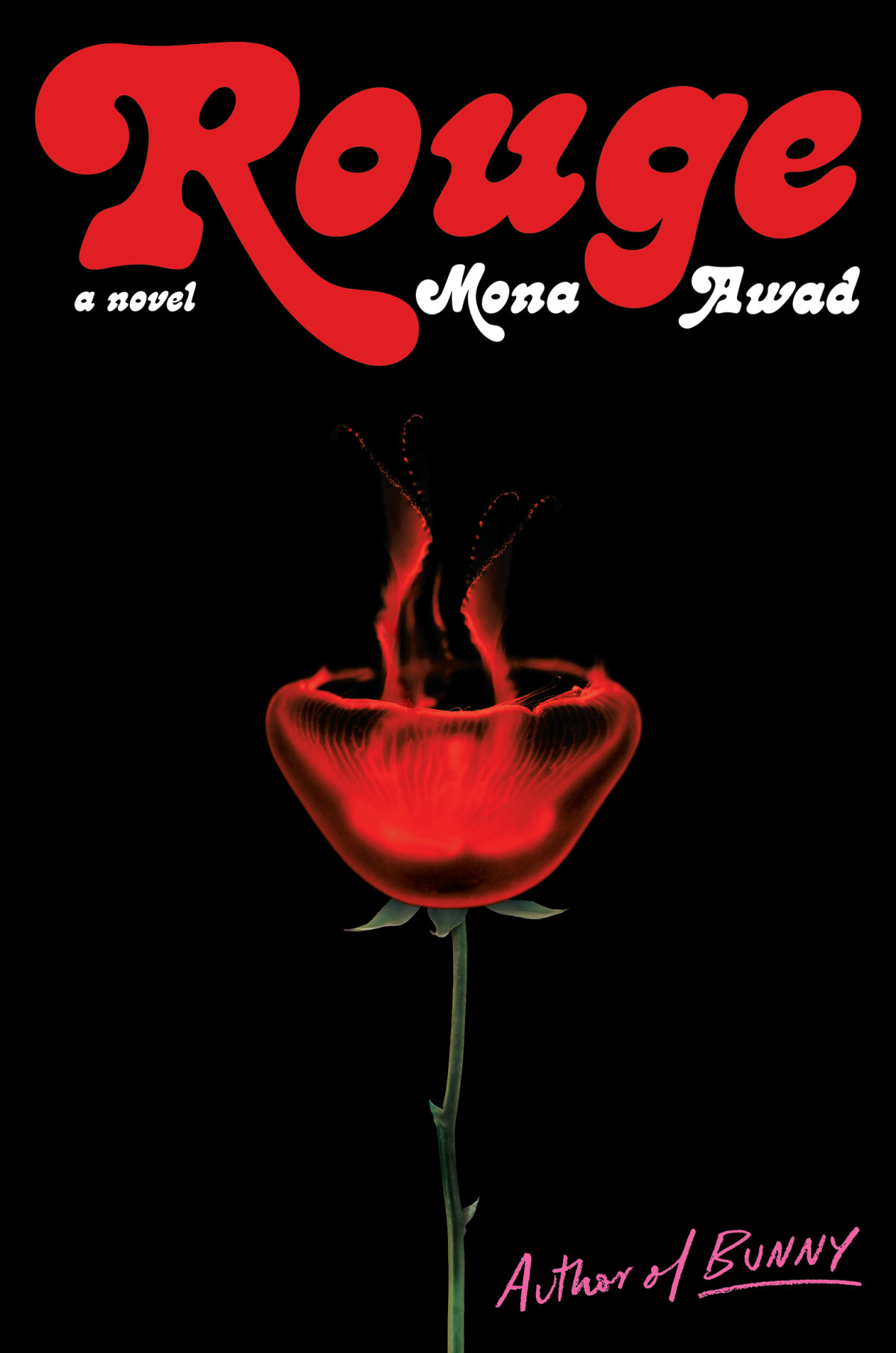 Rouge Mona Awad
