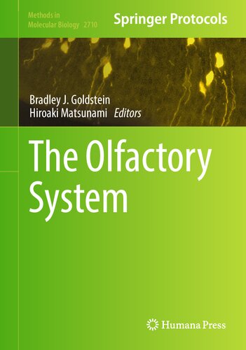 The Olfactory System Methods In Molecular Biology 2710 1st Ed 2023 Bradley J Goldstein Editor