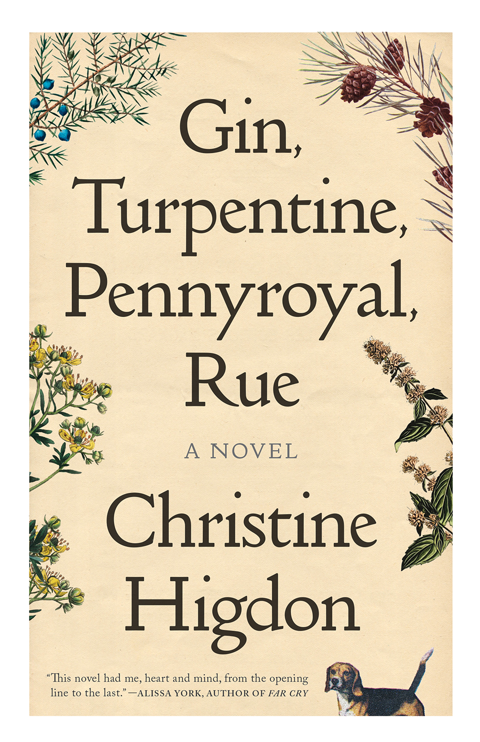 Gin Turpentine Pennyroyal Rue Christine Higdon