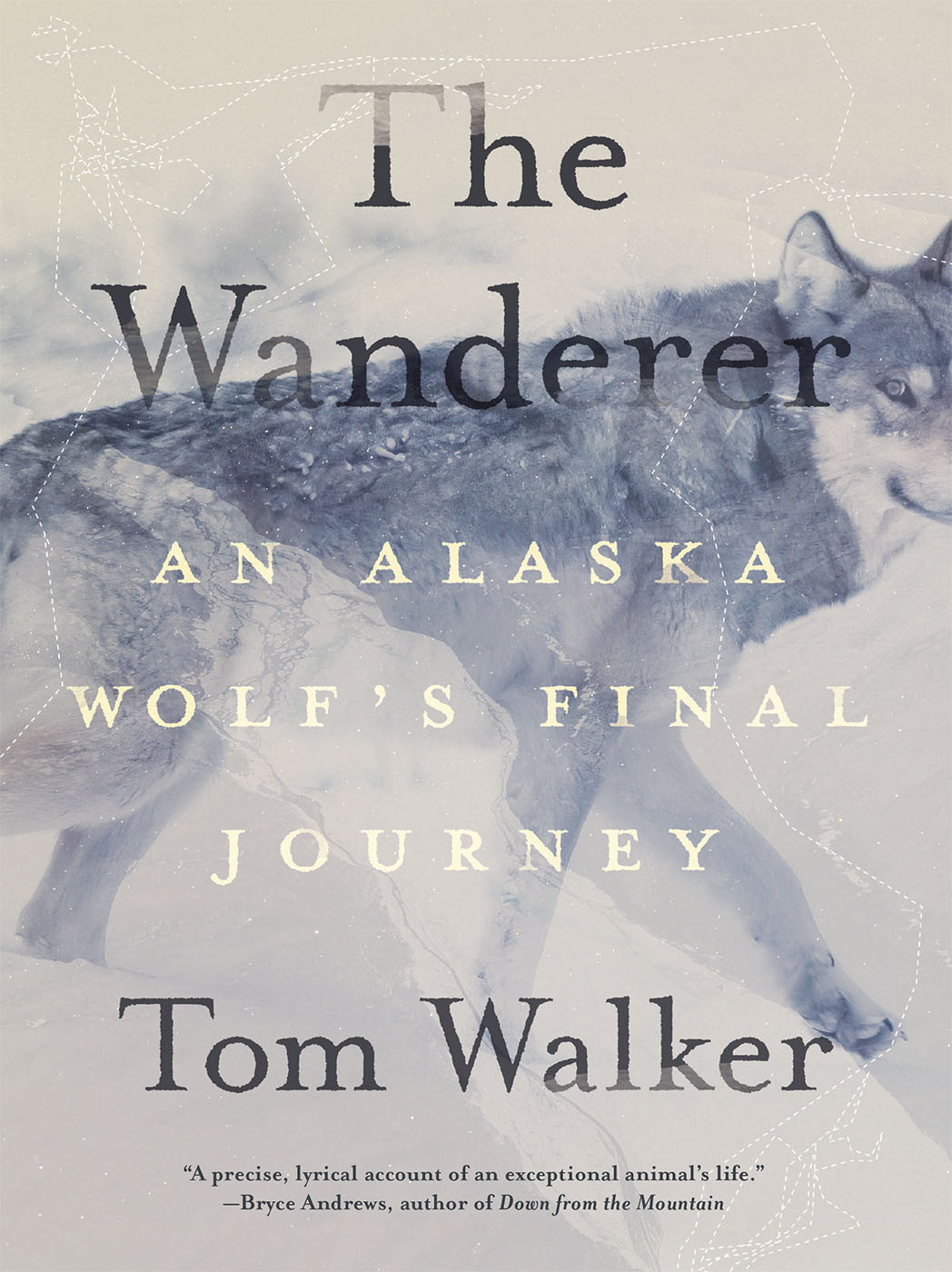 The Wanderer An Alaska Wolfs Final Journey Tom Walker