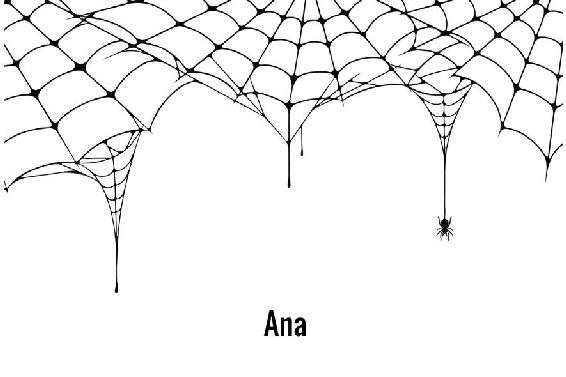 A Web Of Lies Black Widow Book 3 Beena Khan