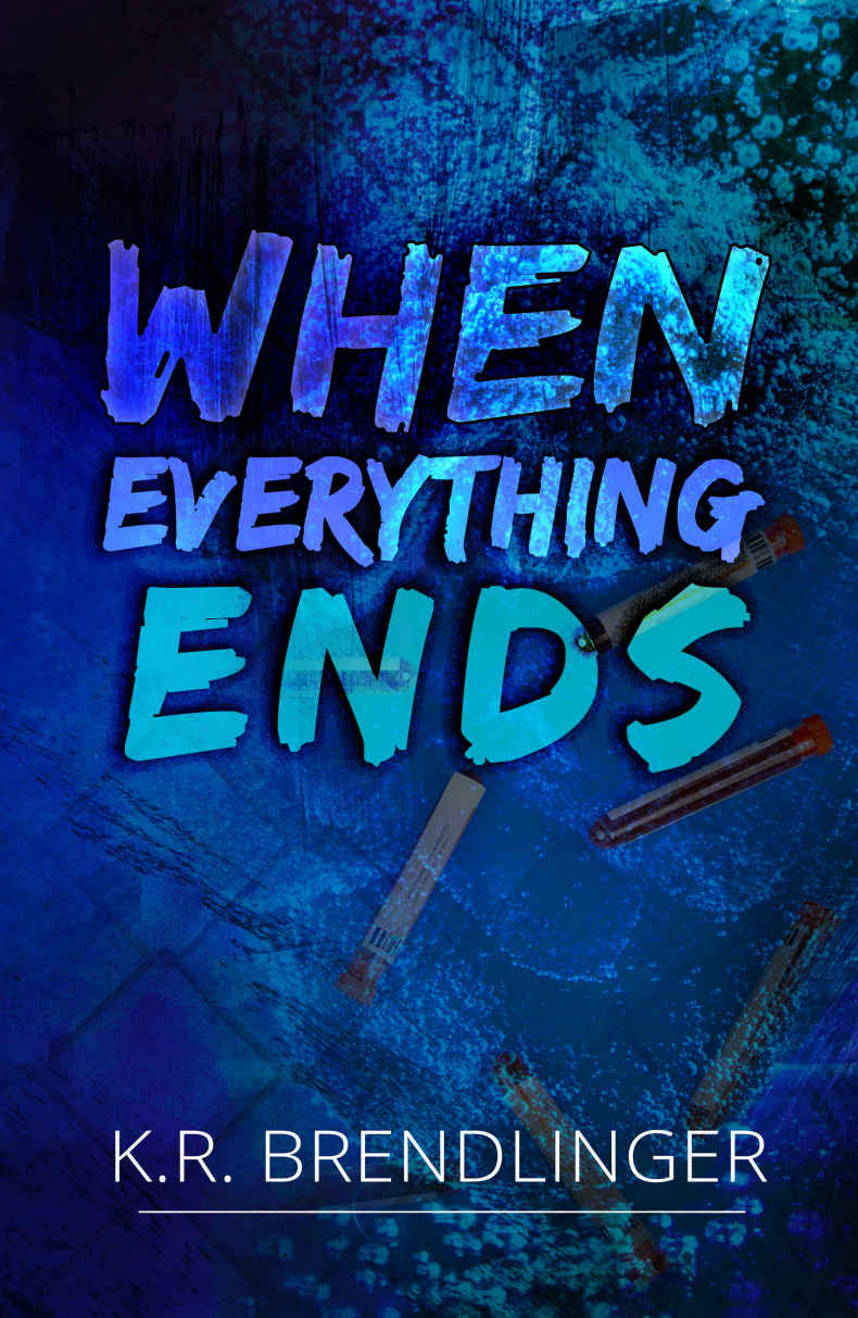 When Everything Ends K R Brendlinger