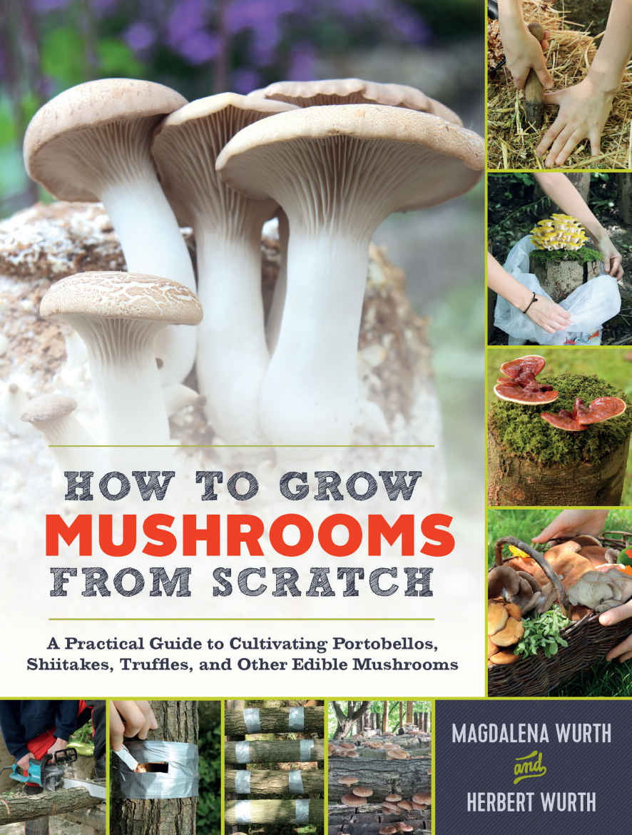 How To Grow Mushrooms From Scratch A Practical Guide To Cultivating Portobellos Shiitakes Truffles And Other Edible Mushrooms Magdalena Wurth Herbert Wurth