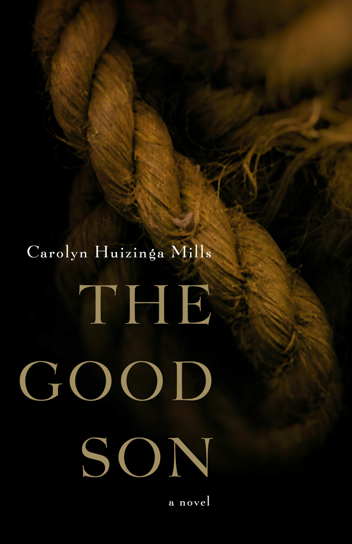The Good Son Carolyn Huizinga Mills
