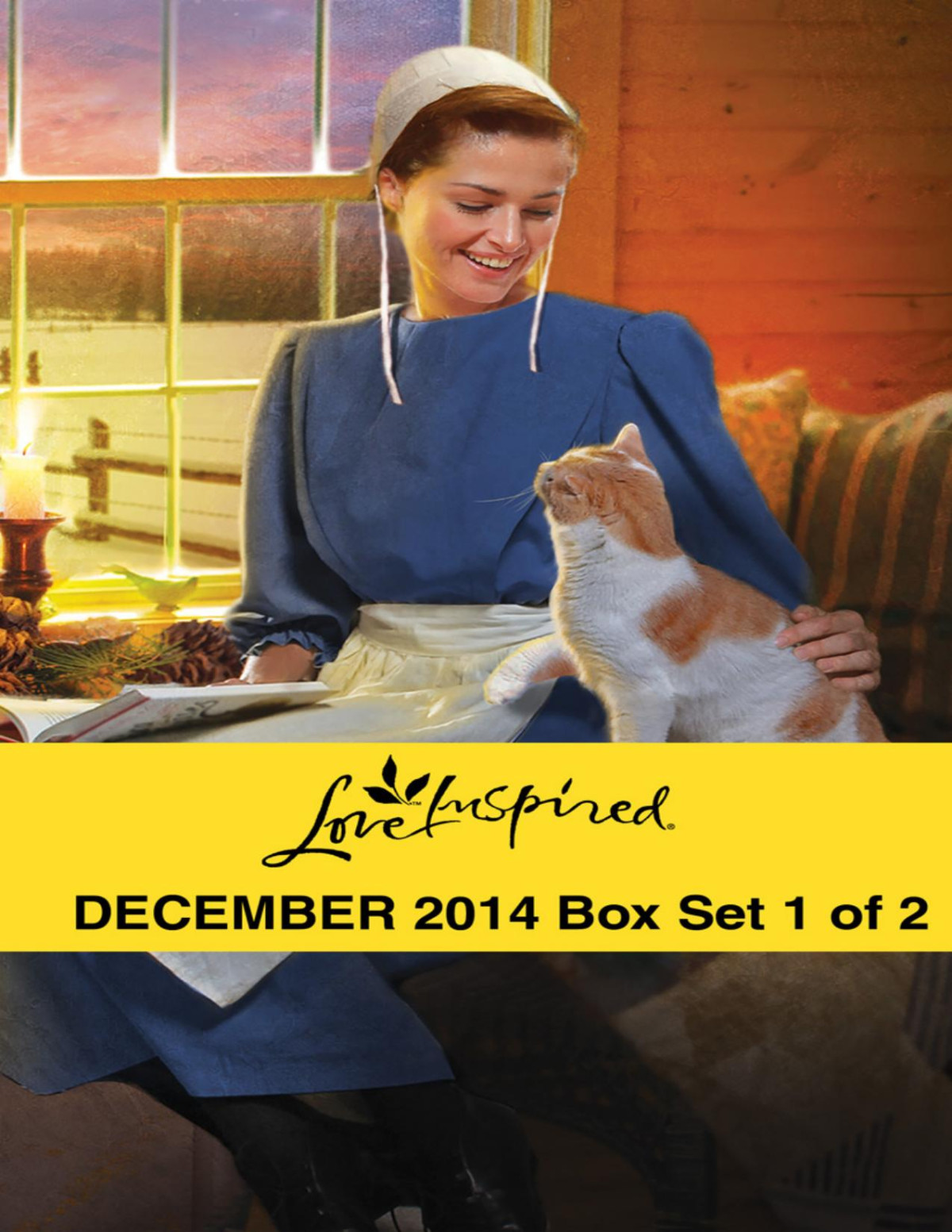 Love Inspired December 2014 Box Set 1 Of 2 Brenda Minton Arlene James