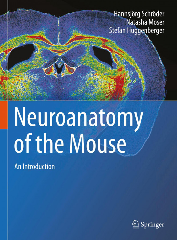 Neuroanatomy Of The Mouse An Introduction 1st Ed 2020 Hannsjrg Schrder