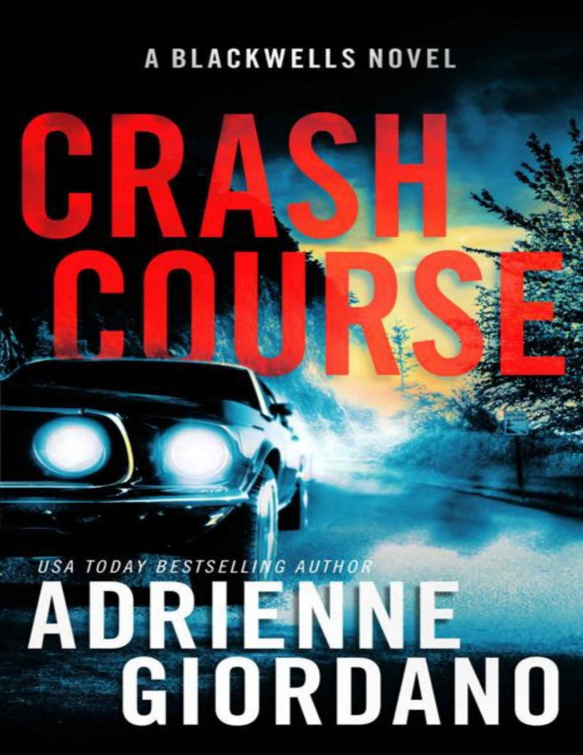 Crash Course A Romantic Suspense Novel The Blackwells Book 4 Steele Ridge The Blackwells Adrienne Giordano Steele Ridge