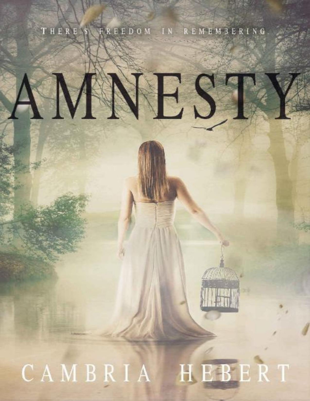 Amnesty Amnesia Duet Book 2 Cambria Hebert
