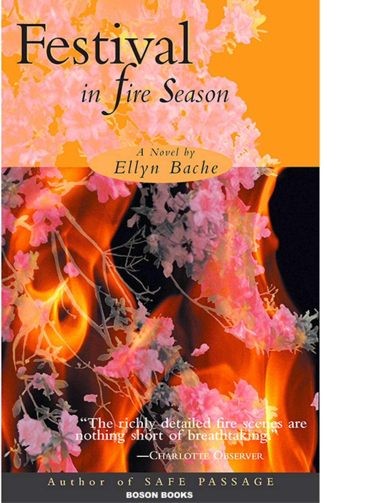 Festival In Fire Season Ellyn Bache