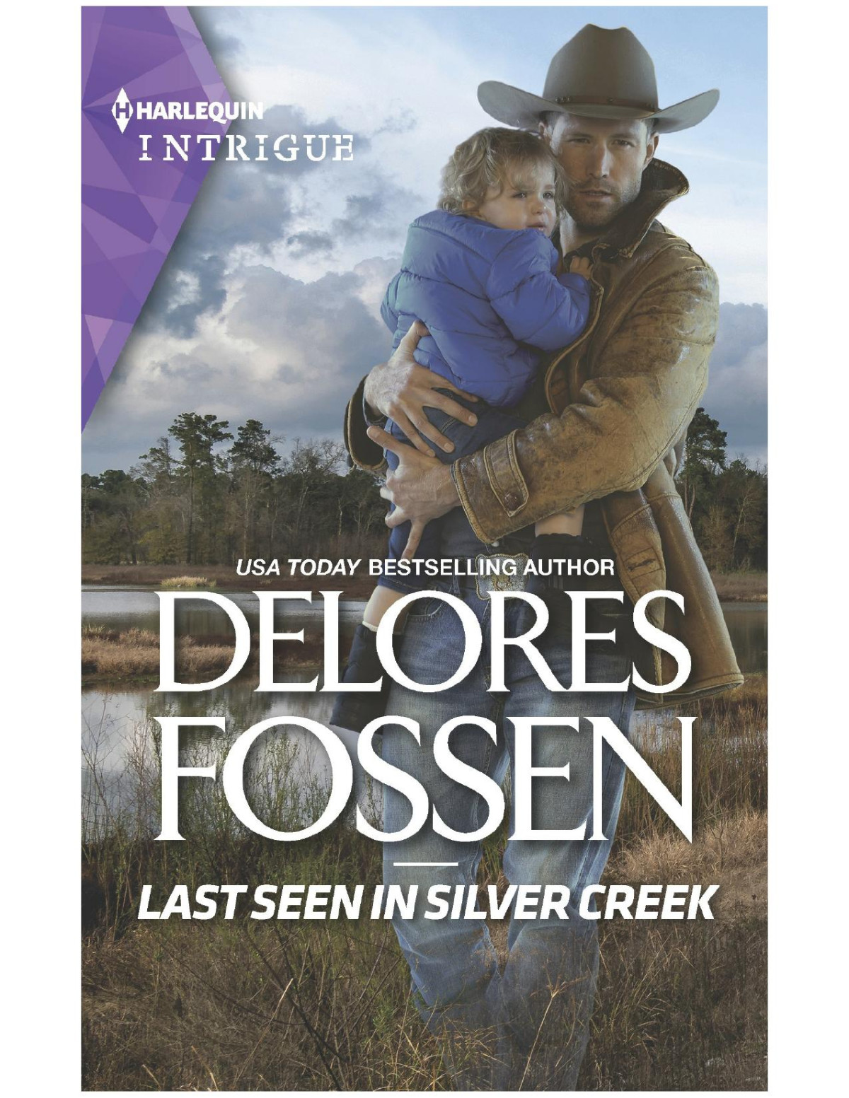 Last Seen In Silver Creek Delores Fossen