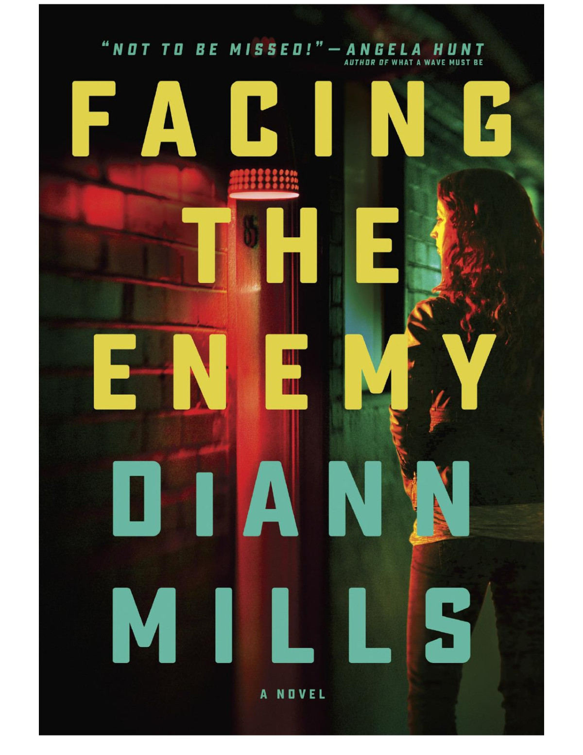 Facing The Enemy Diann Mills