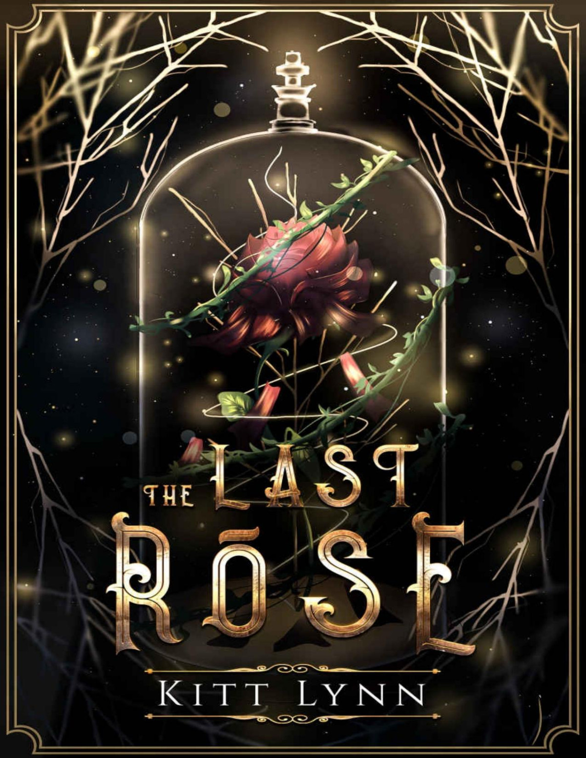 The Last Rose Broken Omegas Book 1 1st Edition Kitt Lynn