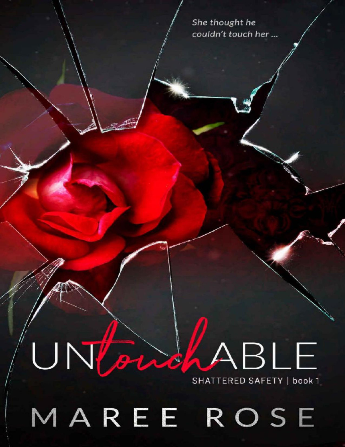 Untouchable A Reverse Harem Romance Shattered Safety Book 1 Maree Rose