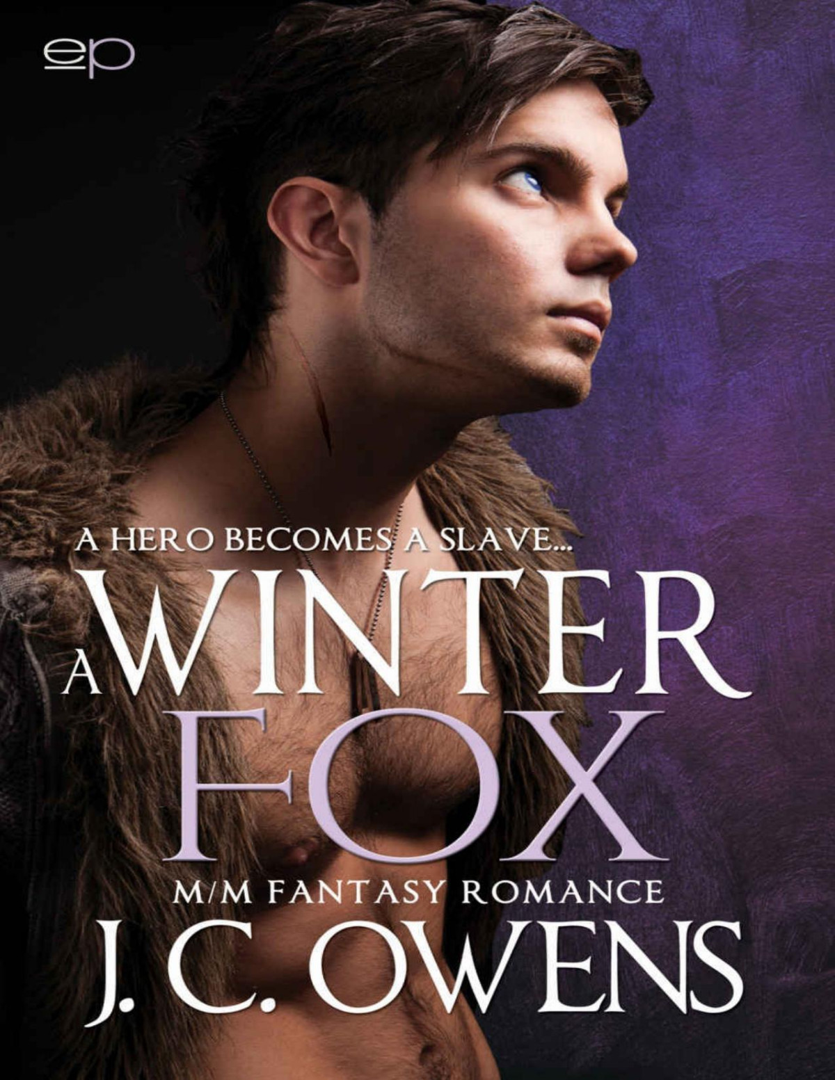 A Winter Fox Mm Fantasy Romance J C Owens
