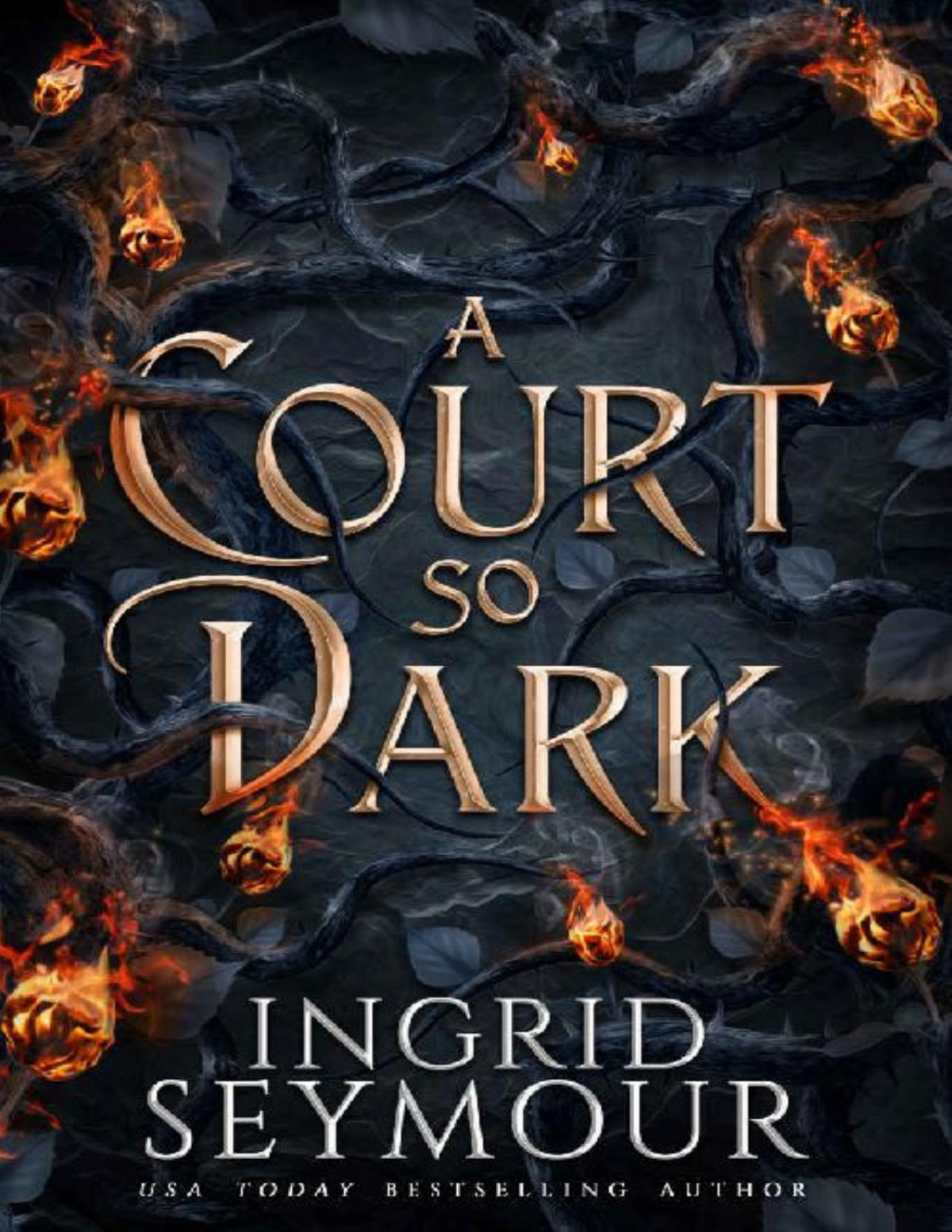 A Court So Dark Healer Of Kingdoms Book 3 Ingrid Seymour