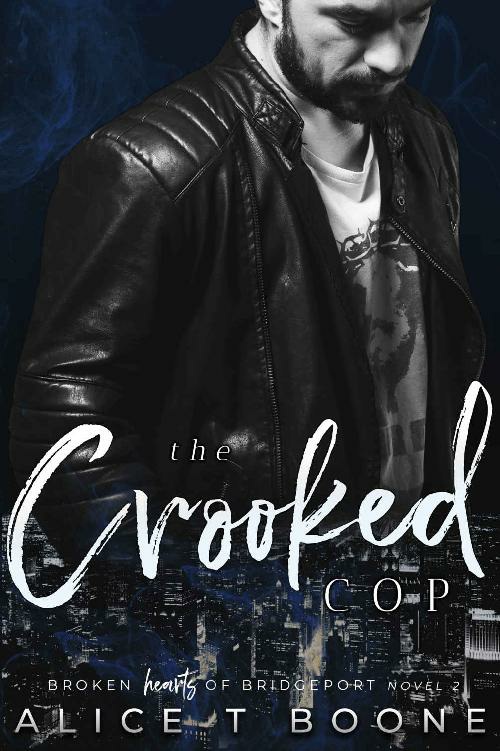 The Punchers Chance A Criminal Love Story A Broken Hearts Of Bridgeport Novel Book 4 Alice T Boone