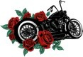 Warning An Omegaverse Biker Romance Alpha Knights Mc Book 2 Leigh Kelsey Phoebe Ash