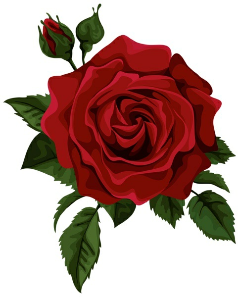 Xv Fifteen War Of Roses Book 1 Lana Sky