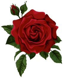 Queen Of Thorns A Dark Mafia Romance War Of Roses Universe Mice And Men Book 2 Lana Sky