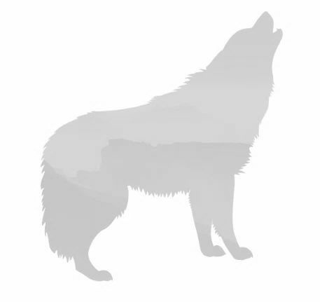 Unawakened Fate Vegas Pack Series Book One Vegas Wolf Pack Series 1 Amanda Nichole