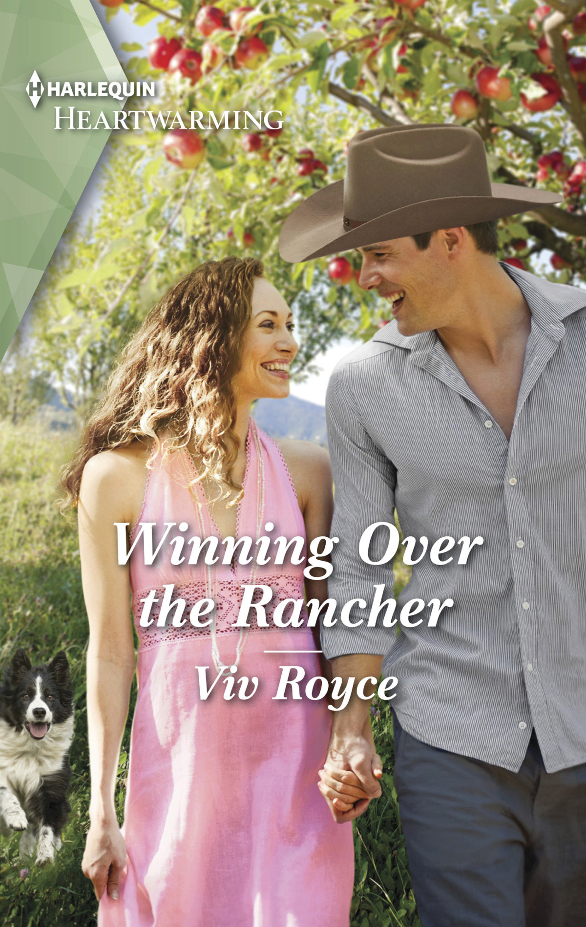 Winning Over The Rancher Viv Royce