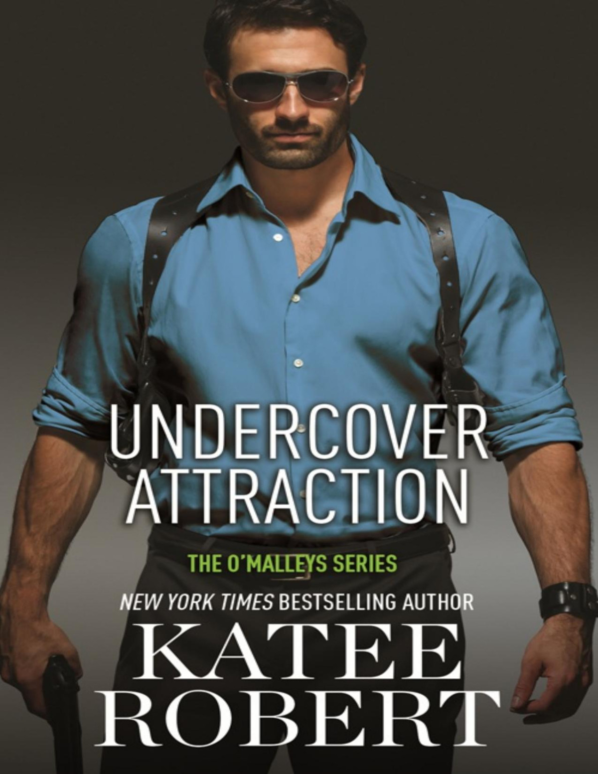 Undercover Attraction Katee Robert