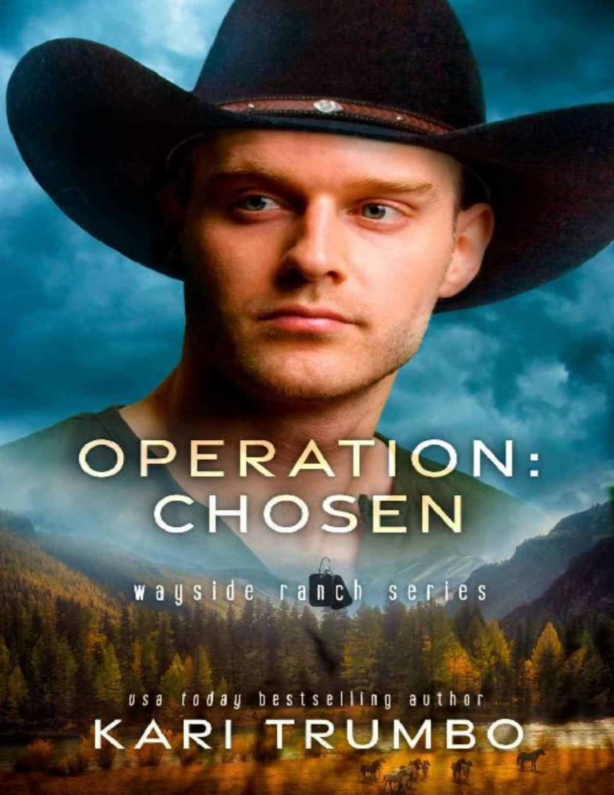 Operation Chosen Wayside Ranch Book 3 Kari Trumbo
