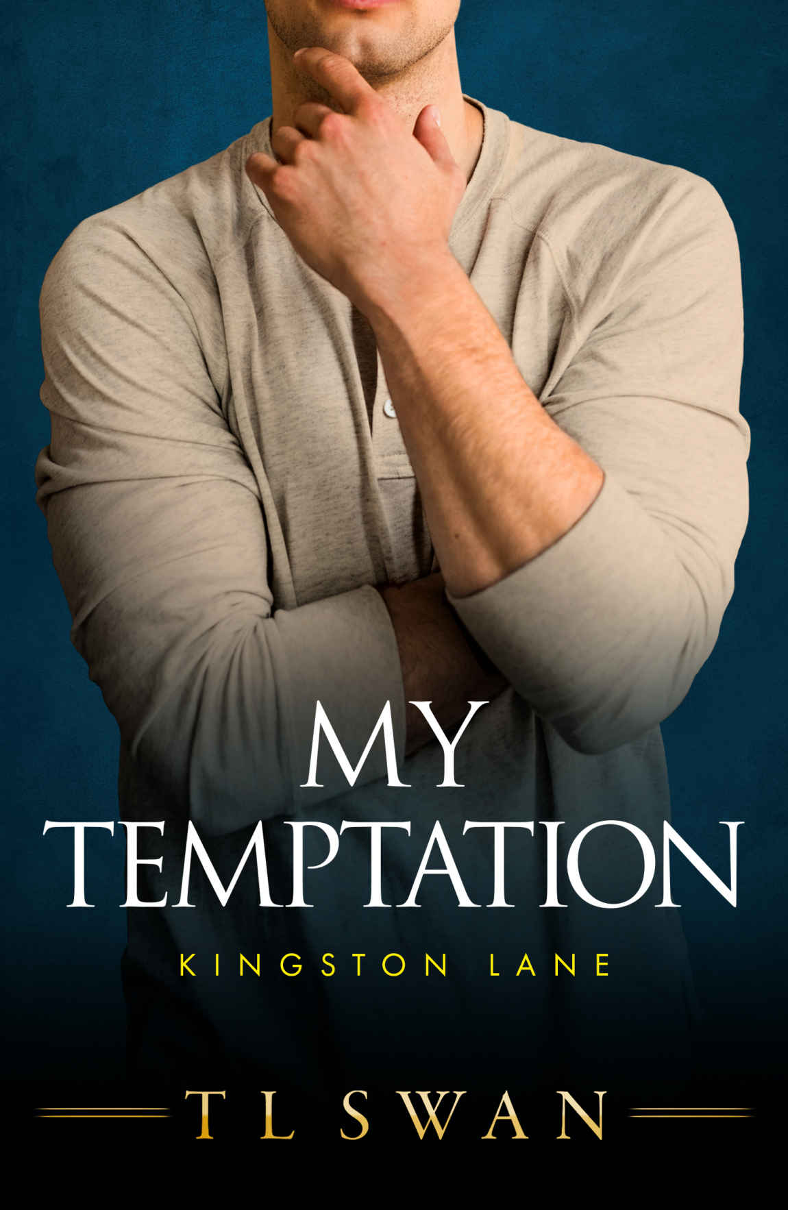 My Temptation T L Swan