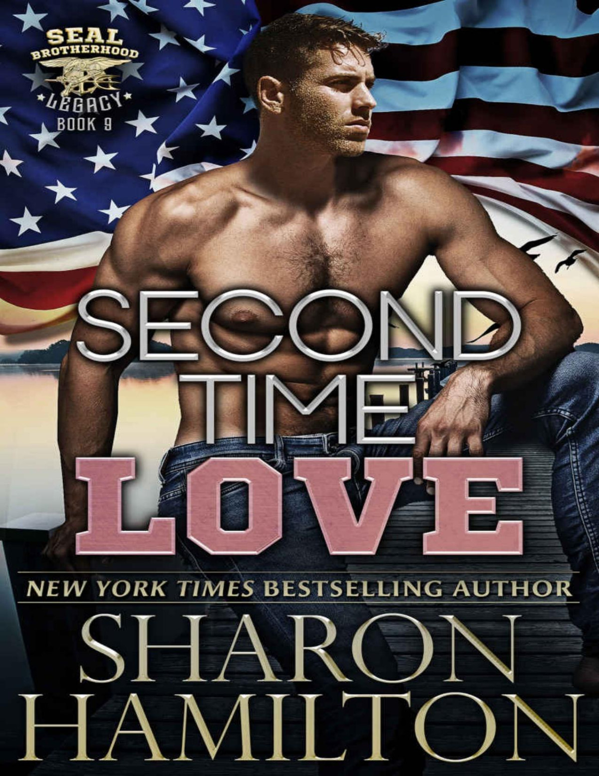 Second Time Love Lost And Found Seal Brotherhood Legacy Book 9 Sharon Hamilton