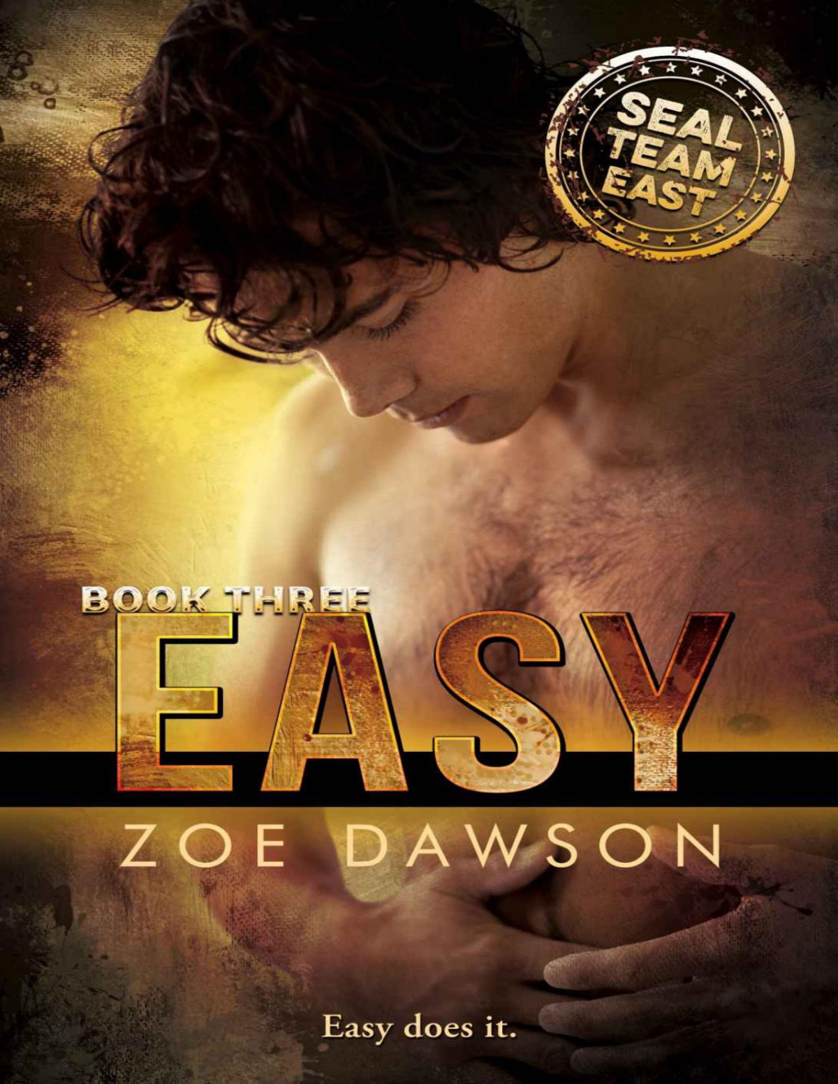 Easy Seal Team East Book 3 Zoe Dawson