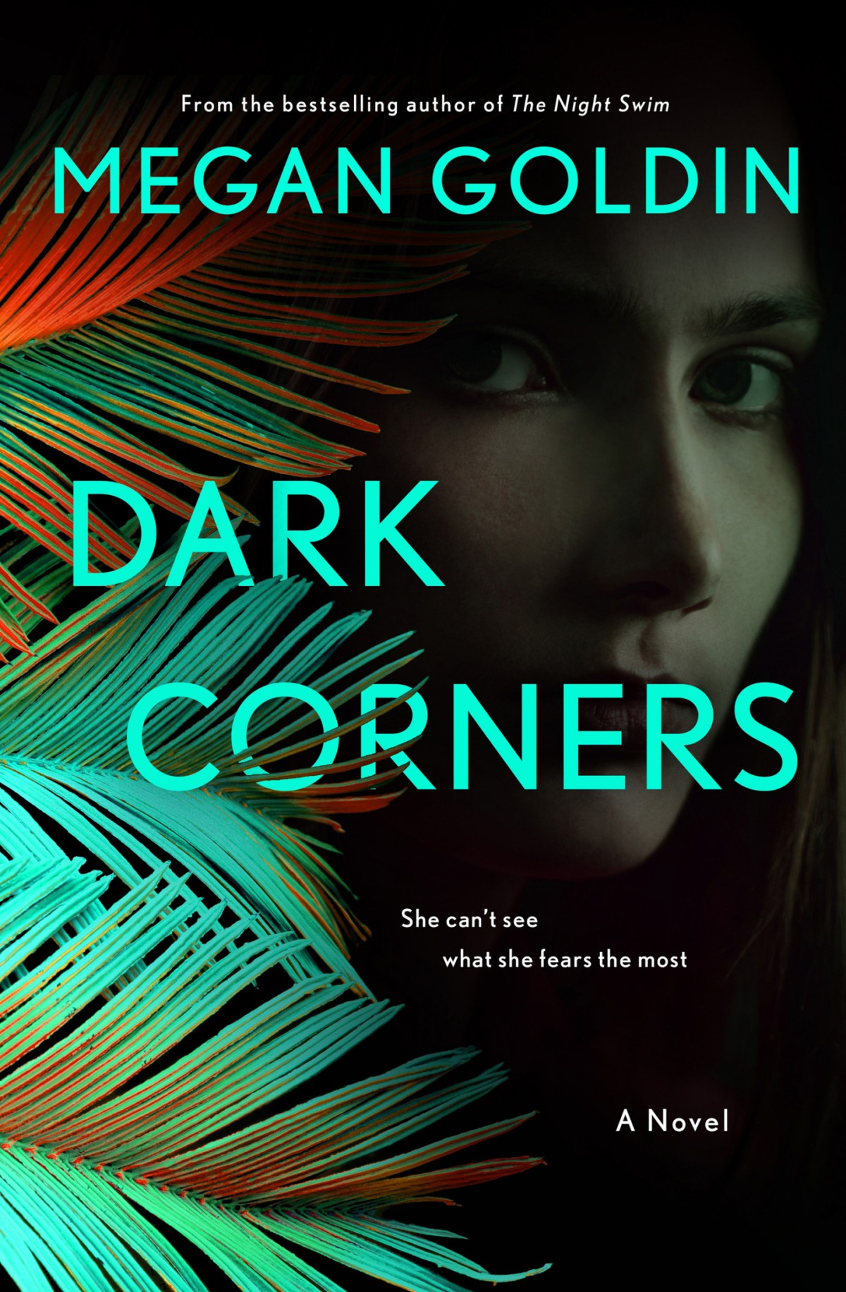 Dark Corners Megan Goldin